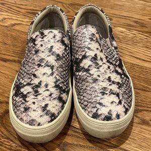 Steve Madden Women's Gills Fashion Sneaker